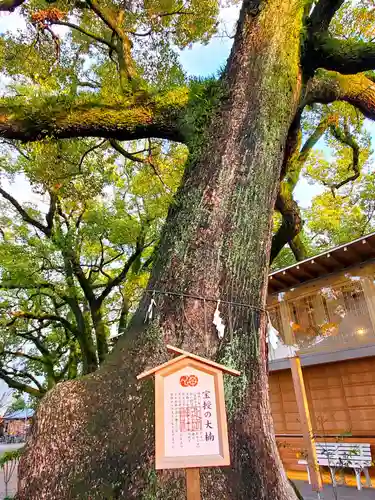 北岡神社の自然