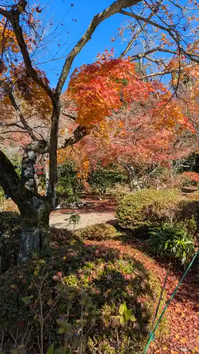法金剛院(京都府)