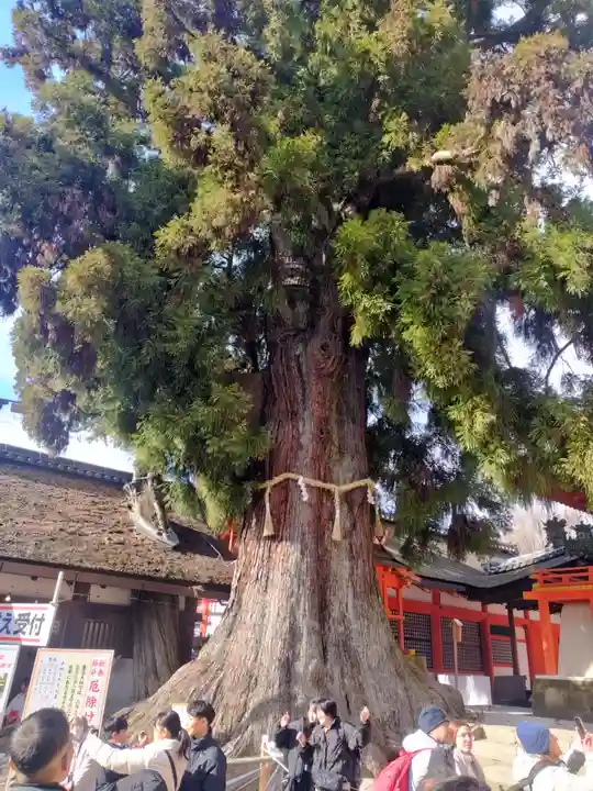 春日大社(奈良県)