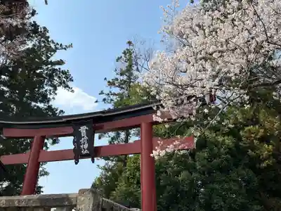 一之宮貫前神社(群馬県)