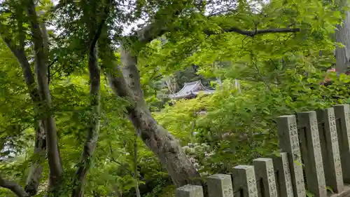 當麻寺奥院(奈良県)
