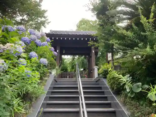 光照寺(神奈川県)