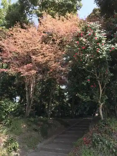 板倉雷電神社のその他建物