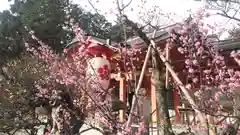 長岡天満宮の自然