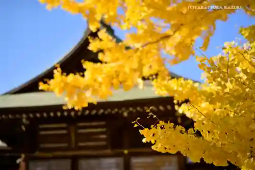 葛飾八幡宮(千葉県)