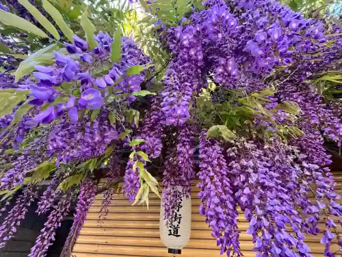 市場稲荷神社(大阪府)