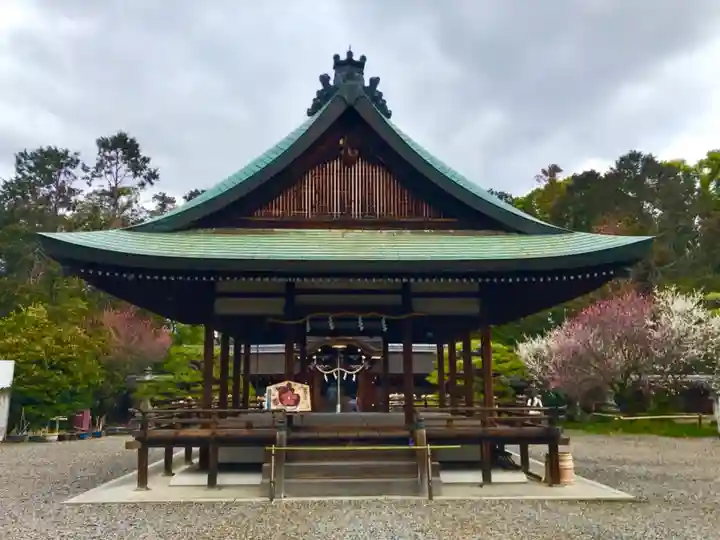 梅宮大社の本殿・本堂