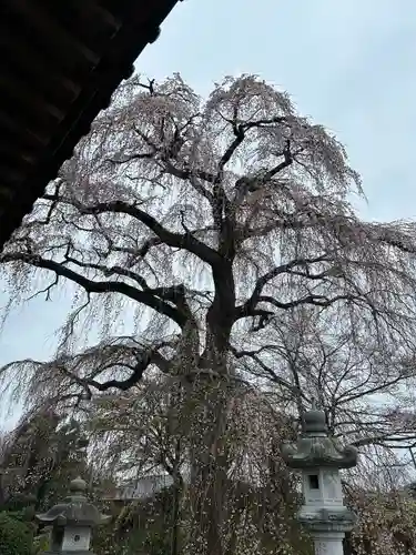 阿弥陀寺のその他建物