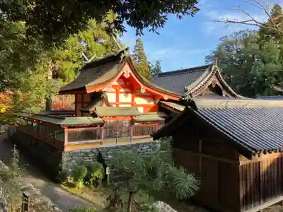 野上八幡宮の本殿・本堂