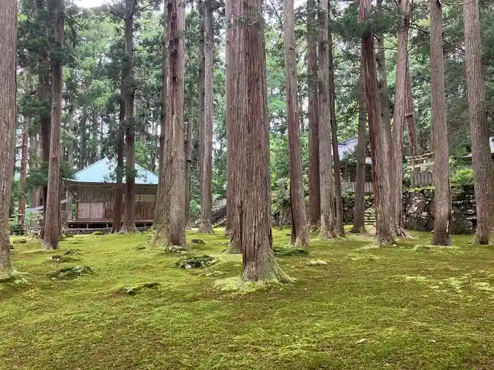 平泉寺白山神社(福井県)