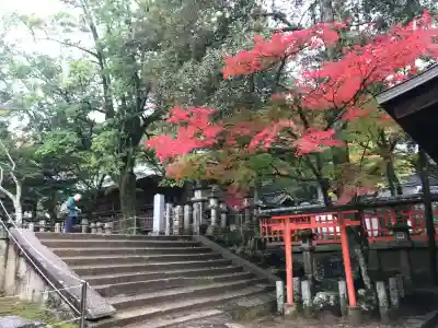 手向山八幡宮の{uncategorized: "未分類", other: "その他", undefined: "問題あり", building: "その他建物", grave: "お墓", sacred_gate: "鳥居", guardian: "狛犬", statue: "像", buddha: "仏像", history: "歴史", nature: "自然", garden: "庭園", animal: "動物", pagoda: "塔", temizu: "手水舎", mountain_gate: "山門・神門", sanctuary: "本殿・本堂", subordinate: "末社・摂社", art: "芸術", scenery: "景色", jizo: "地蔵", ema: "絵馬", goshuin: "御朱印", omikuji: "おみくじ", items: "授与品その他", amulet: "お守り", goshuincho: "御朱印帳", eats: "食事", festival: "お祭り", votive_dance: "神楽", shichigosan: "七五三参", wedding: "結婚式", experience: "体験その他", initially: "初詣", around: "周辺", anti_infection: "感染症対策"}