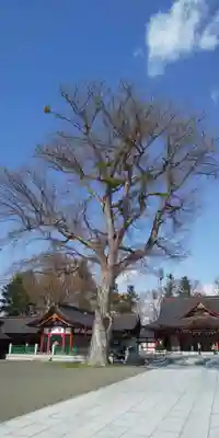 北海道護國神社のその他建物