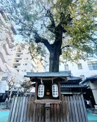 天神社の末社・摂社