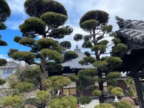 不断寺(兵庫県)
