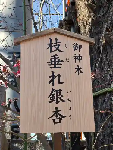 波除神社（波除稲荷神社）(東京都)