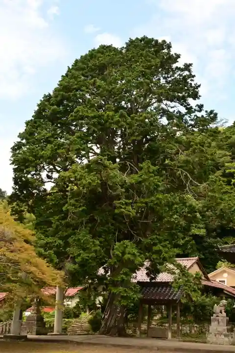 城上神社(島根県)