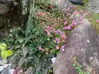 今市報徳二宮神社の自然