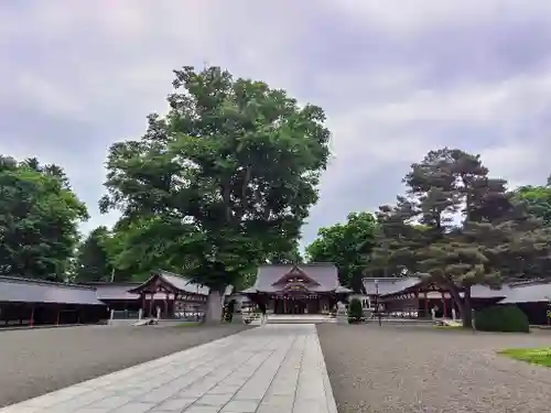 北海道護國神社の本殿・本堂
