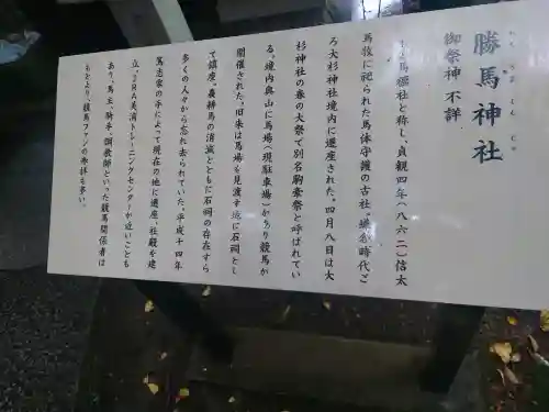 大杉神社(茨城県)