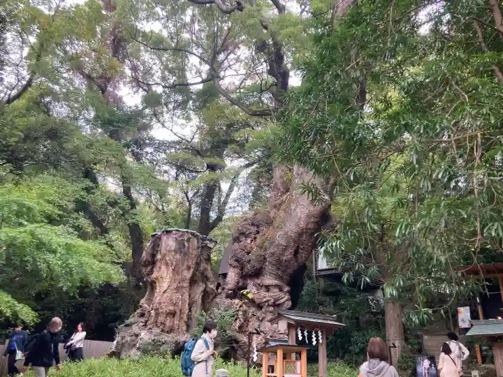 來宮神社(静岡県)