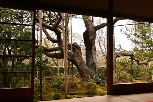 宝泉院(京都府)