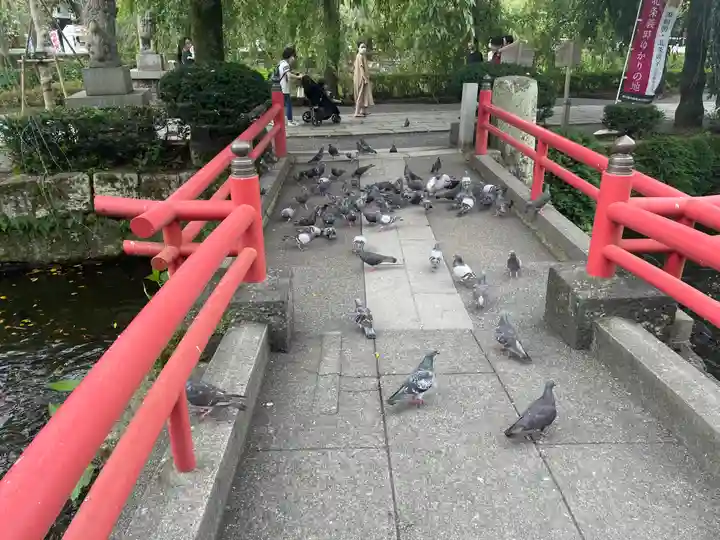 三嶋大社(静岡県)