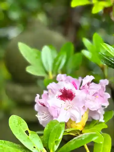 良性院(長野県)