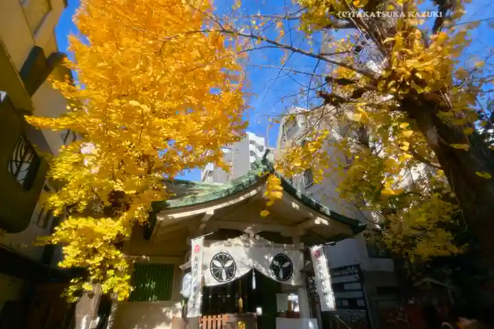 銀杏岡八幡神社(東京都)