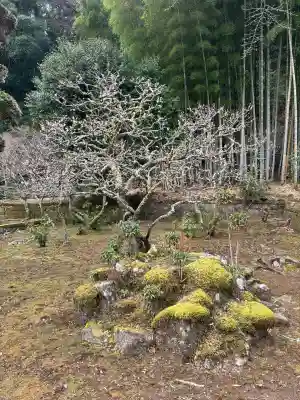 最勝院の{uncategorized: "未分類", other: "その他", undefined: "問題あり", building: "その他建物", grave: "お墓", sacred_gate: "鳥居", guardian: "狛犬", statue: "像", buddha: "仏像", history: "歴史", nature: "自然", garden: "庭園", animal: "動物", pagoda: "塔", temizu: "手水舎", mountain_gate: "山門・神門", sanctuary: "本殿・本堂", subordinate: "末社・摂社", art: "芸術", scenery: "景色", jizo: "地蔵", ema: "絵馬", goshuin: "御朱印", omikuji: "おみくじ", items: "授与品その他", amulet: "お守り", goshuincho: "御朱印帳", eats: "食事", festival: "お祭り", votive_dance: "神楽", shichigosan: "七五三参", wedding: "結婚式", experience: "体験その他", initially: "初詣", around: "周辺", anti_infection: "感染症対策"}