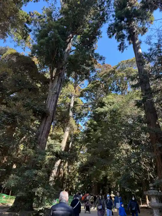 鹿島神宮(茨城県)