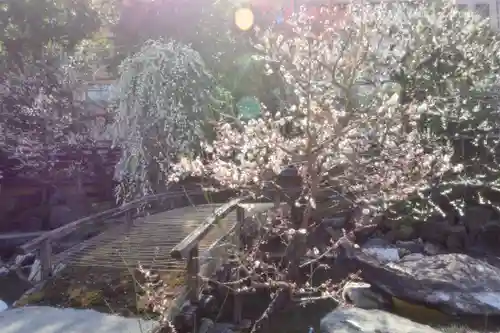 湯島天満宮の庭園