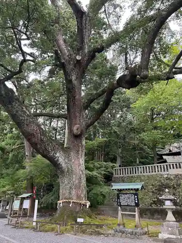事任八幡宮(静岡県)
