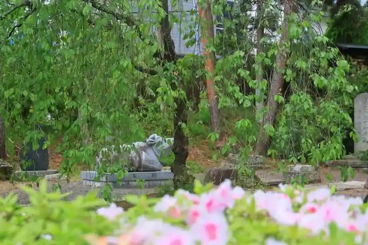 豊景神社の狛犬