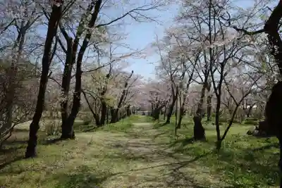 松川神社の自然