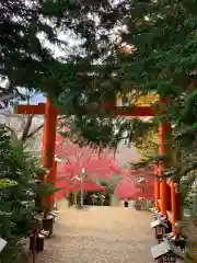 新倉富士浅間神社の鳥居