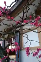 穏田神社(東京都)