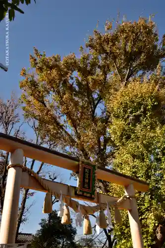 蛇窪神社の鳥居