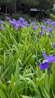 得浄明院(善光寺別院)(京都府)