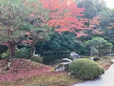 知恩院(京都府)