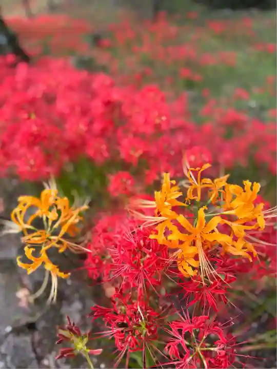 仏隆寺(奈良県)