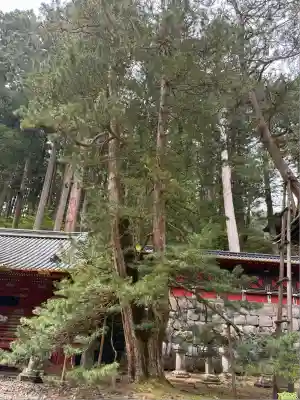 輪王寺(栃木県)