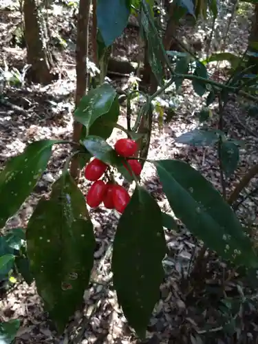 槵觸神社(宮崎県)