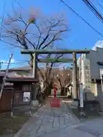 小室浅間神社の鳥居