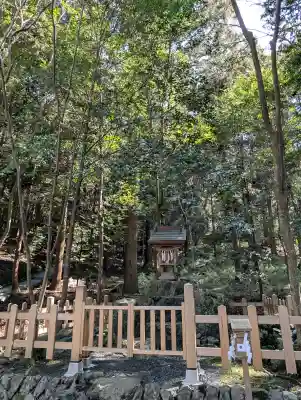 出雲大神宮の{uncategorized: "未分類", other: "その他", undefined: "問題あり", building: "その他建物", grave: "お墓", sacred_gate: "鳥居", guardian: "狛犬", statue: "像", buddha: "仏像", history: "歴史", nature: "自然", garden: "庭園", animal: "動物", pagoda: "塔", temizu: "手水舎", mountain_gate: "山門・神門", sanctuary: "本殿・本堂", subordinate: "末社・摂社", art: "芸術", scenery: "景色", jizo: "地蔵", ema: "絵馬", goshuin: "御朱印", omikuji: "おみくじ", items: "授与品その他", amulet: "お守り", goshuincho: "御朱印帳", eats: "食事", festival: "お祭り", votive_dance: "神楽", shichigosan: "七五三参", wedding: "結婚式", experience: "体験その他", initially: "初詣", around: "周辺", anti_infection: "感染症対策"}