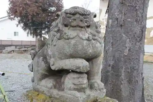 白幡神社の狛犬