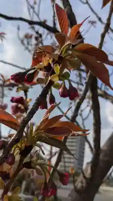 月心寺(愛知県)