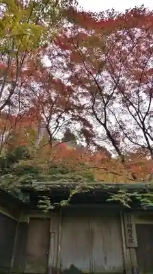 光明寺瑠璃光院の山門・神門