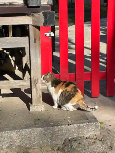 大津神社(大阪府)