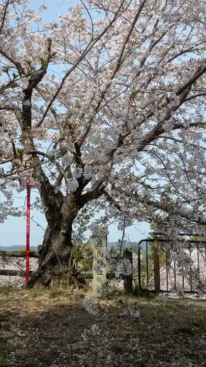 柳澤神社(奈良県)