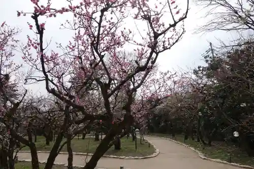 北野天満宮の庭園